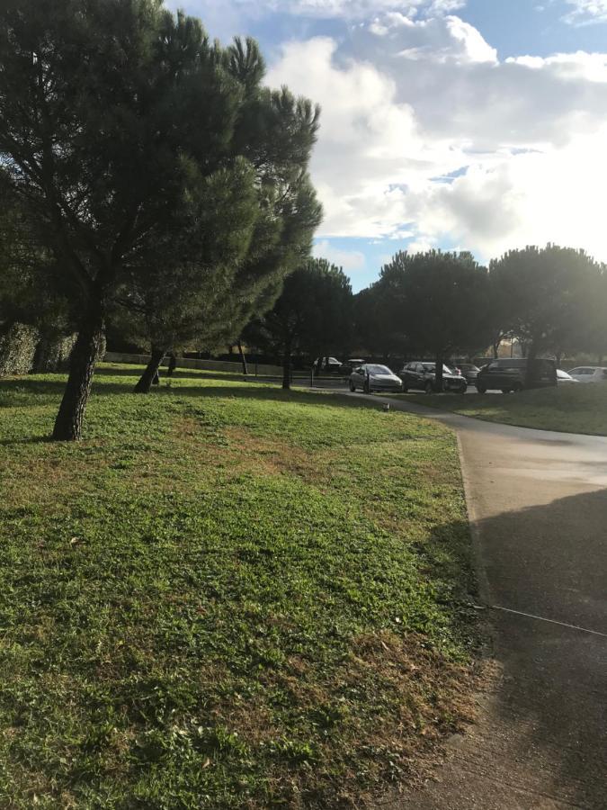 Appartement entier T2 paradis entièrement meublé Toulouse Exterior foto